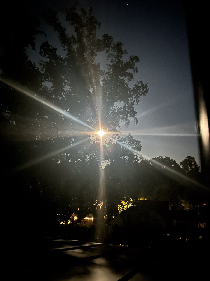 Super Moon | Coming Home