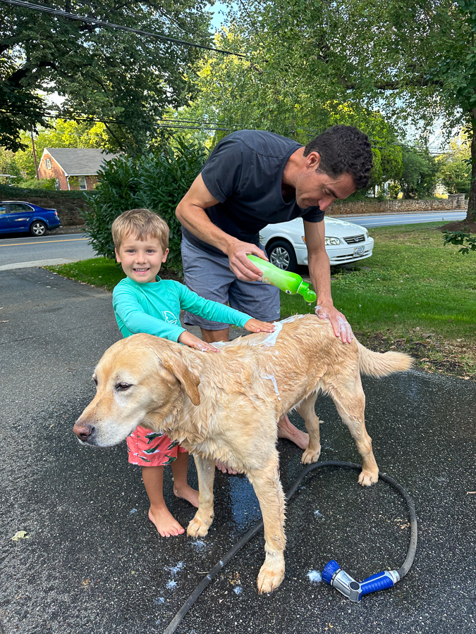dog bath | Longer Sleeves Needed