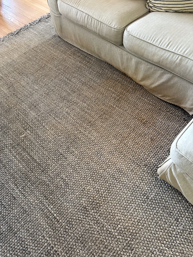 house rug | Longer Sleeves Needed