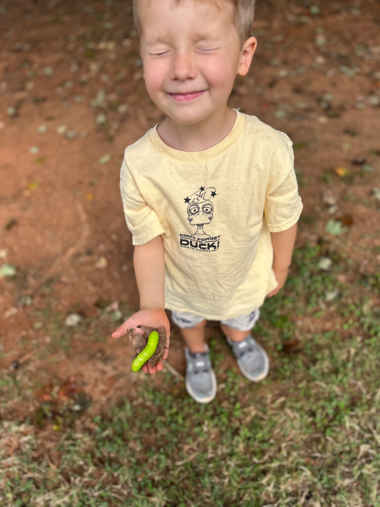 Herman The Worm caterpillar