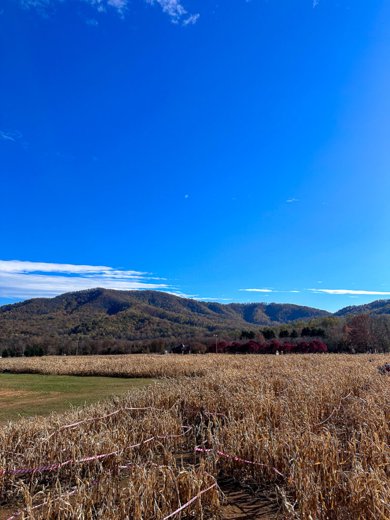Blue Ridge Mountain Maze