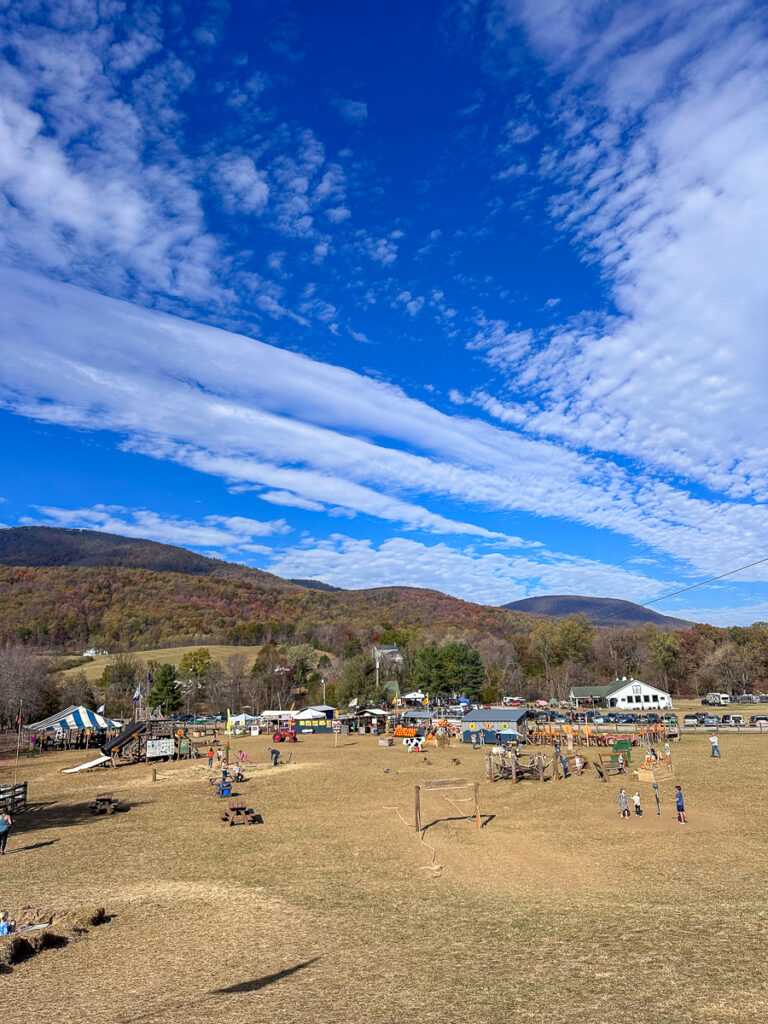 Blue Ridge Mountain activities | A Very Cousin Weekend