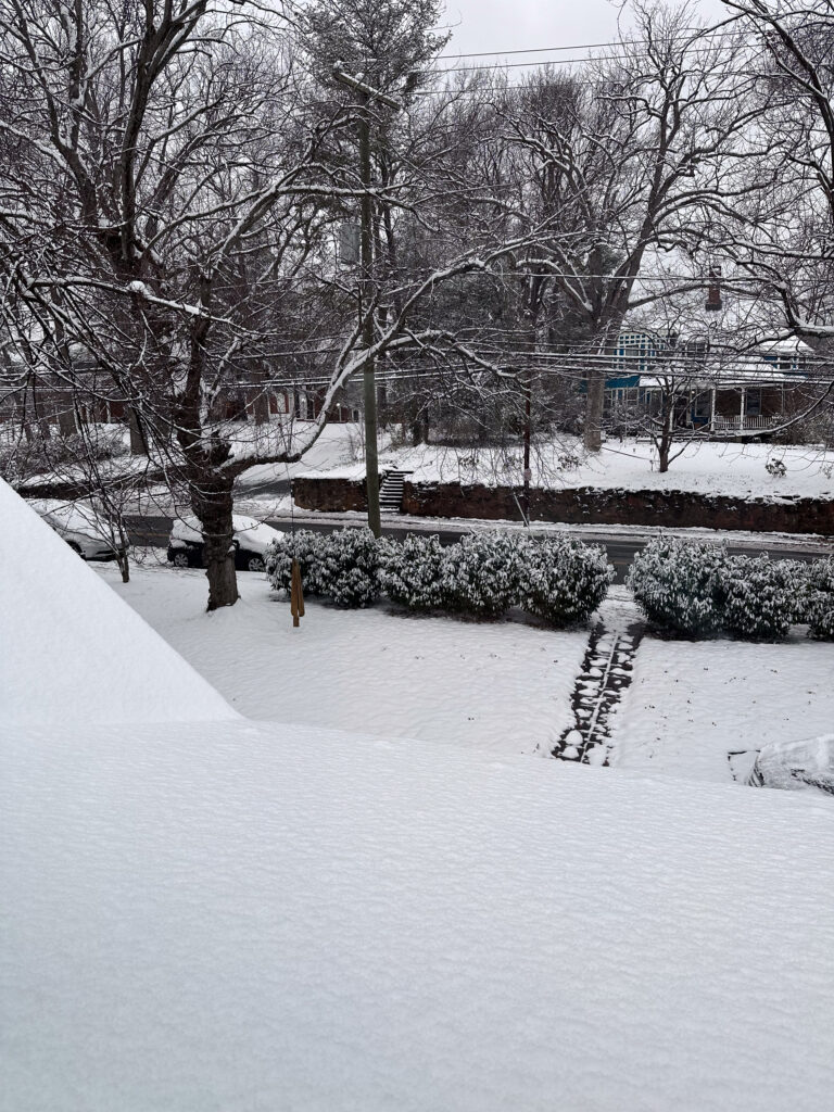 light snowstorm January