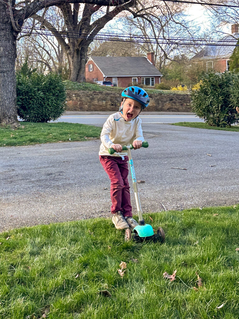 Birch scooter