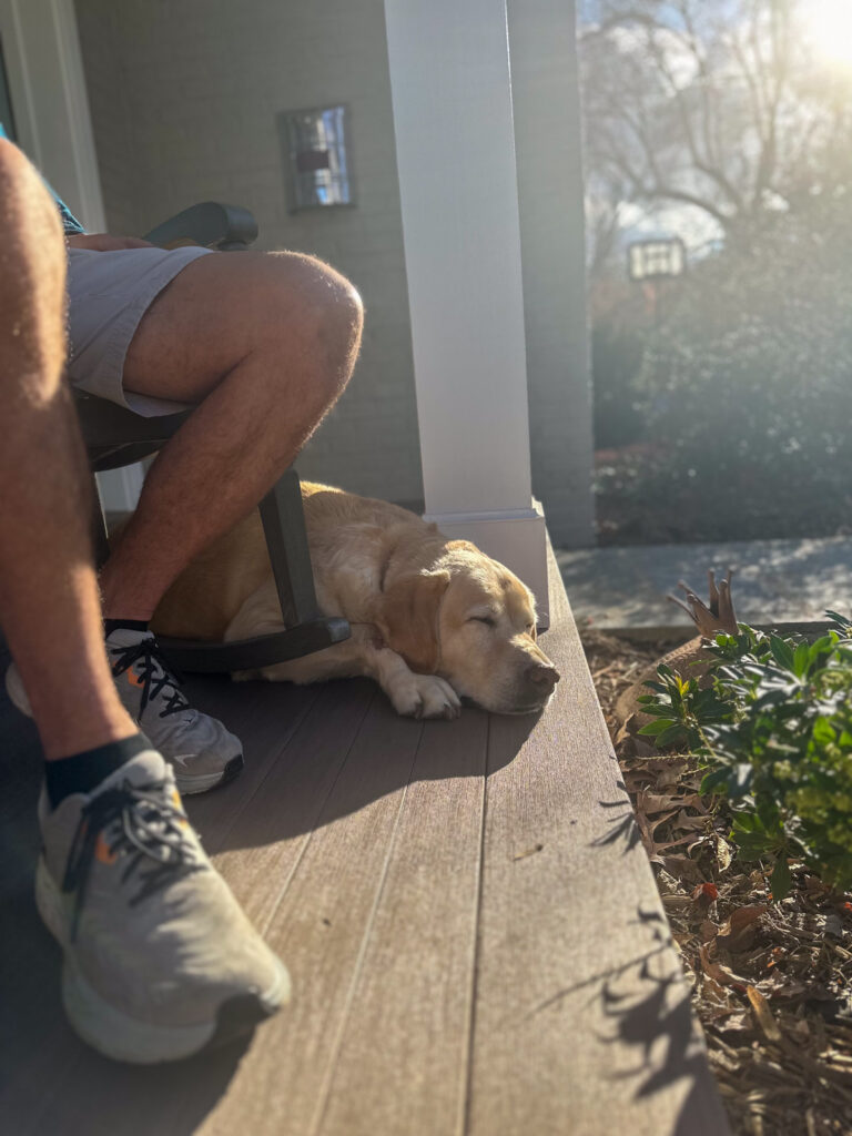 Guss enjoying sunshine