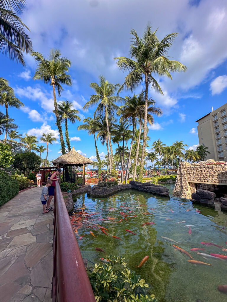 Family Trip To Aruba - Part I