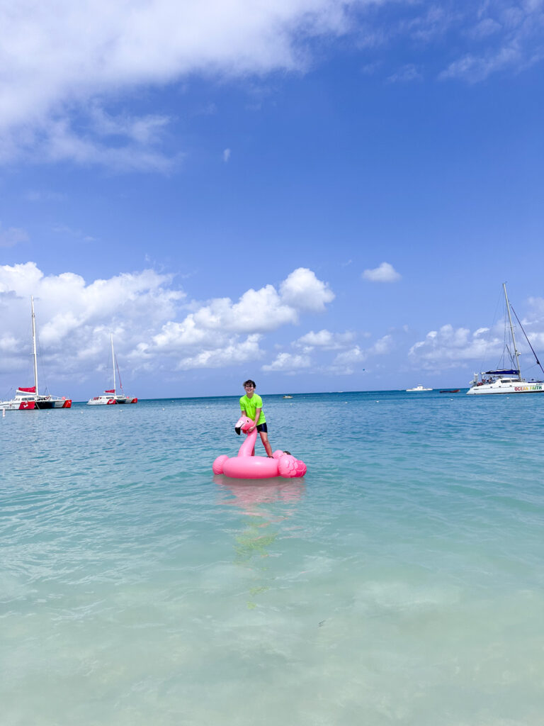 flamingo float