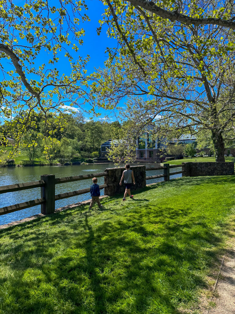 Boar's Head Lake
