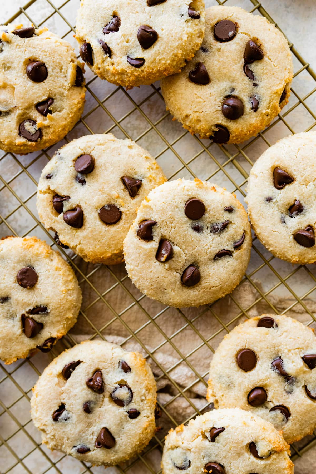 Eating Bird Food Cookies