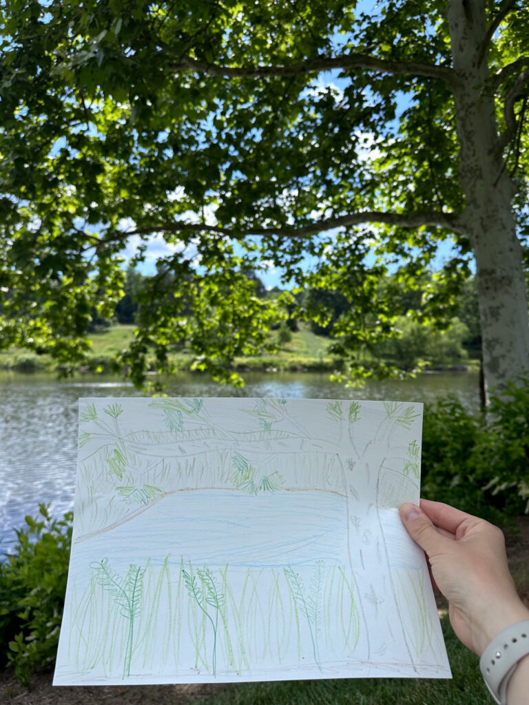nature drawing