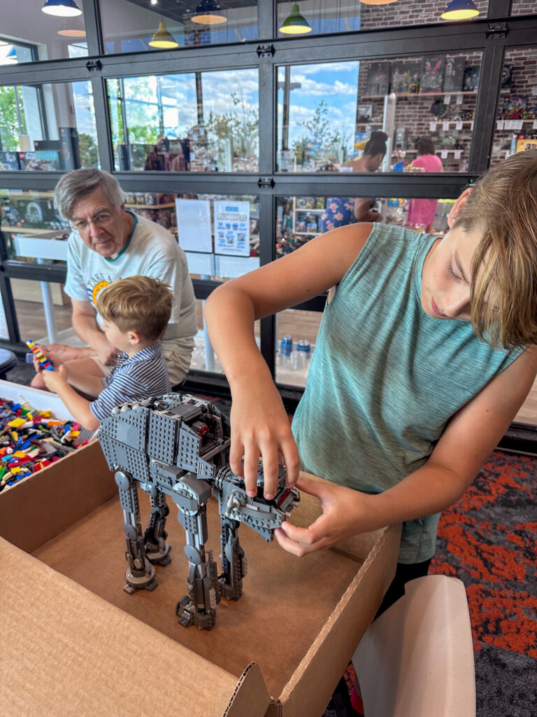 Bricks and Minifigs shopping