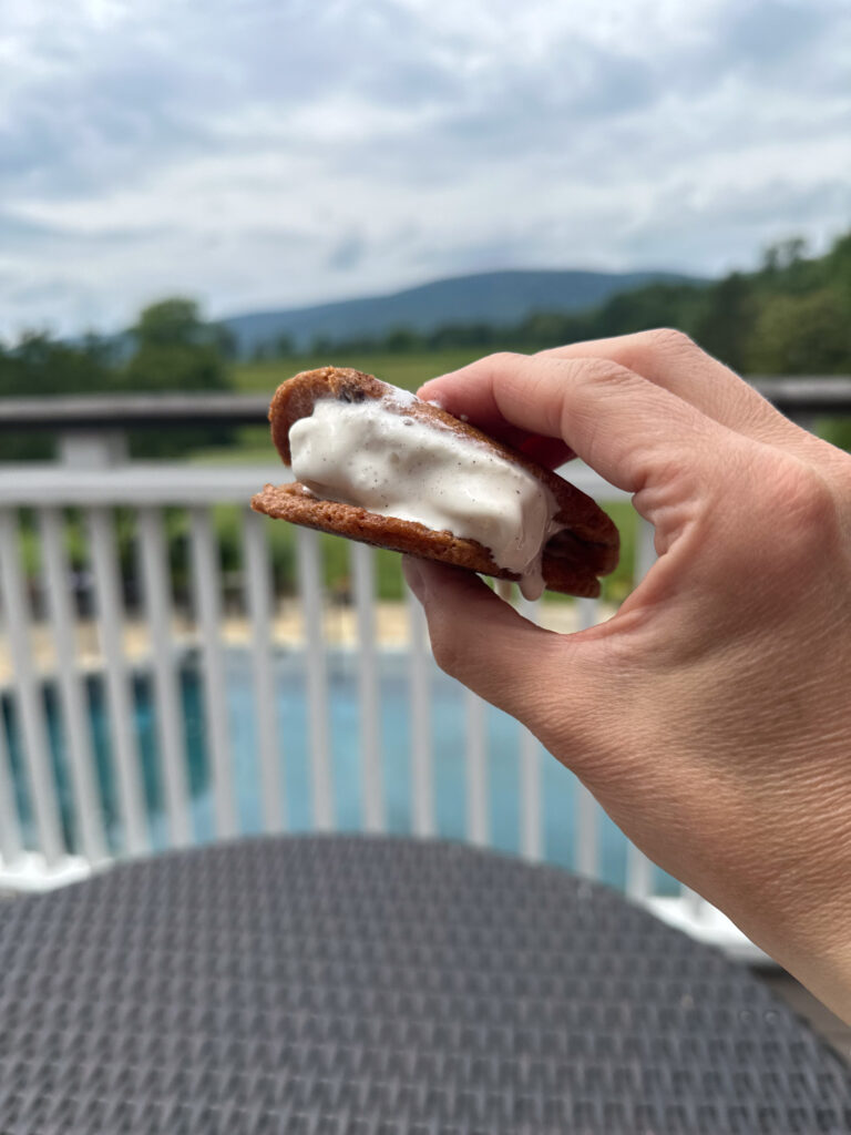 ice cream sandwich