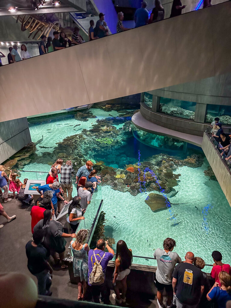 Kath Eats Blogger Kath Younger shares her Family Trip To Baltimore - in photo: people at The National Aquarium