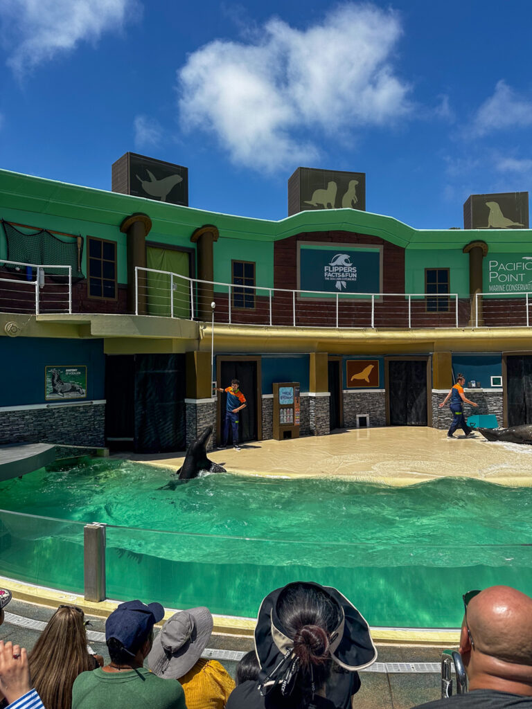 sea lion show California Summer Part II