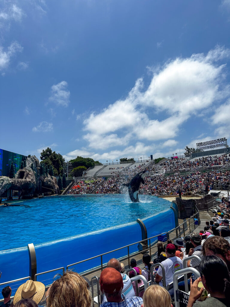 SeaWorld experience