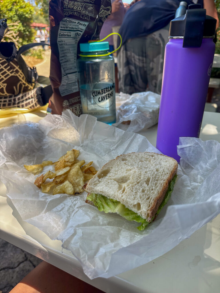 packed sandwiches and chips | California Summer Part I