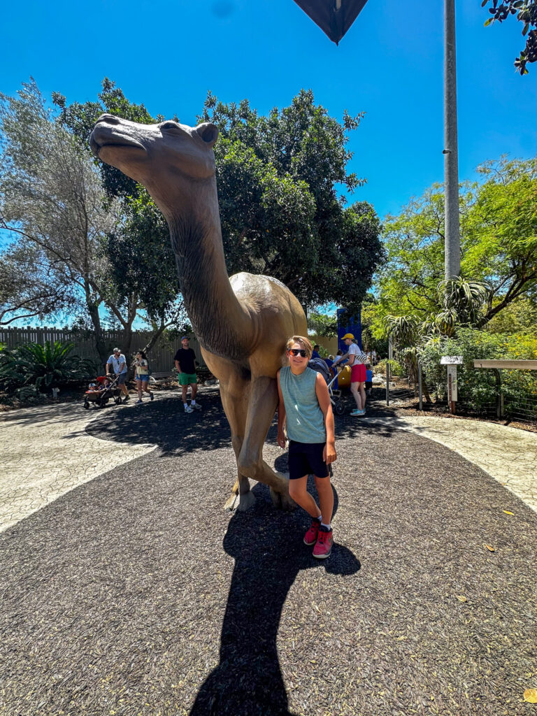 San Diego Zoo California Summer Part I
