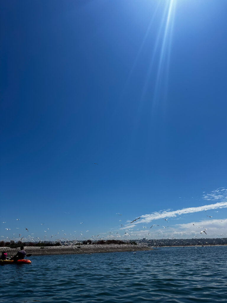 Kayaking Adventure California Summer Part I