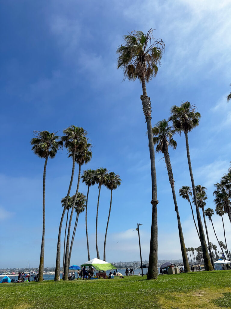 Mission Beach California Summer Part I