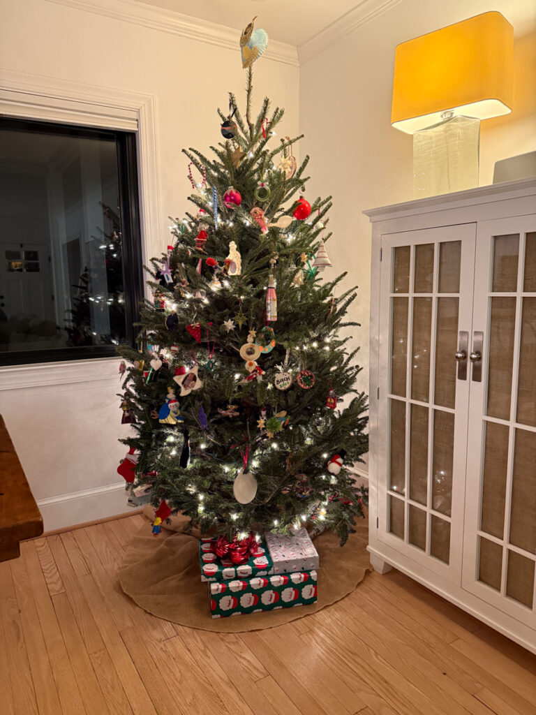Gifts under the tree