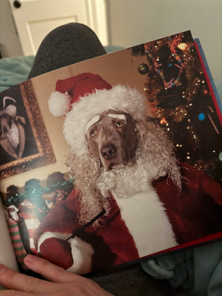 Santa dog