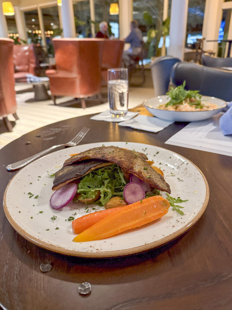 Kath Eats Blogger Kath Younger shares Homestead Holiday - photo of their food served in the restaurant