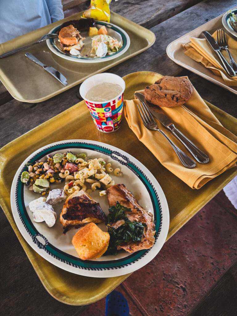 Disney Cruise Islands lunch