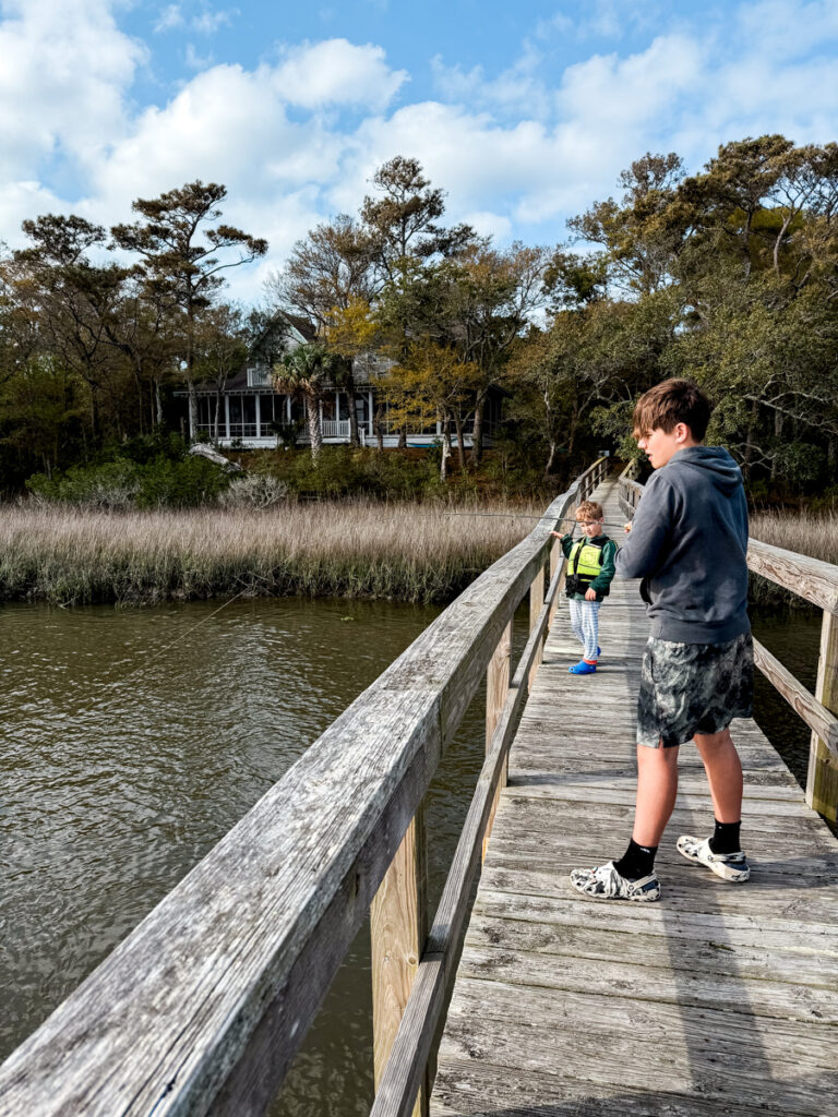 Shrimp Bait spring