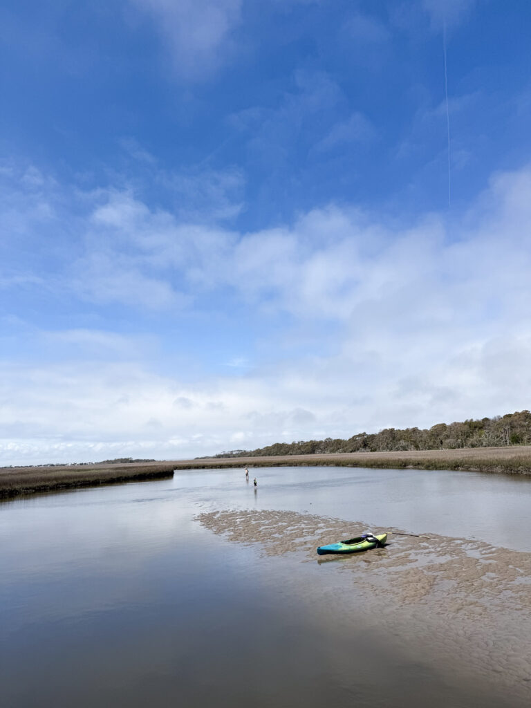 Sandbar spring