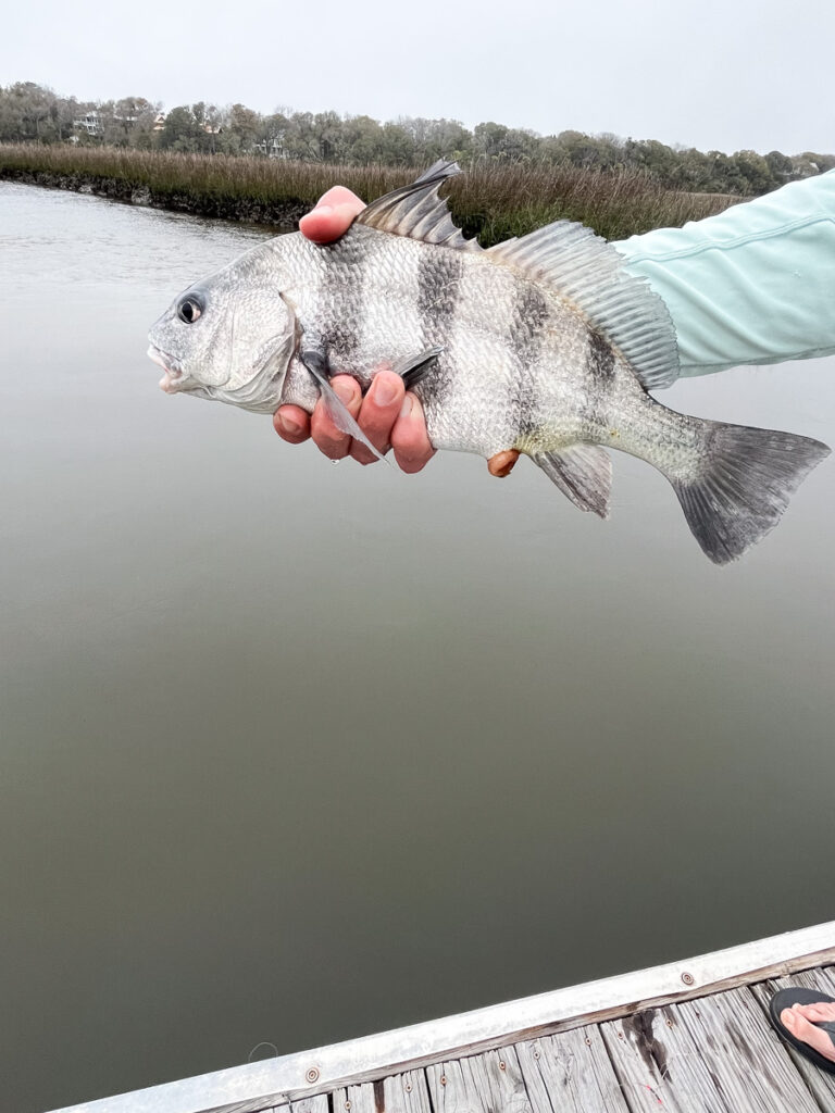 Family Fishing spring trip