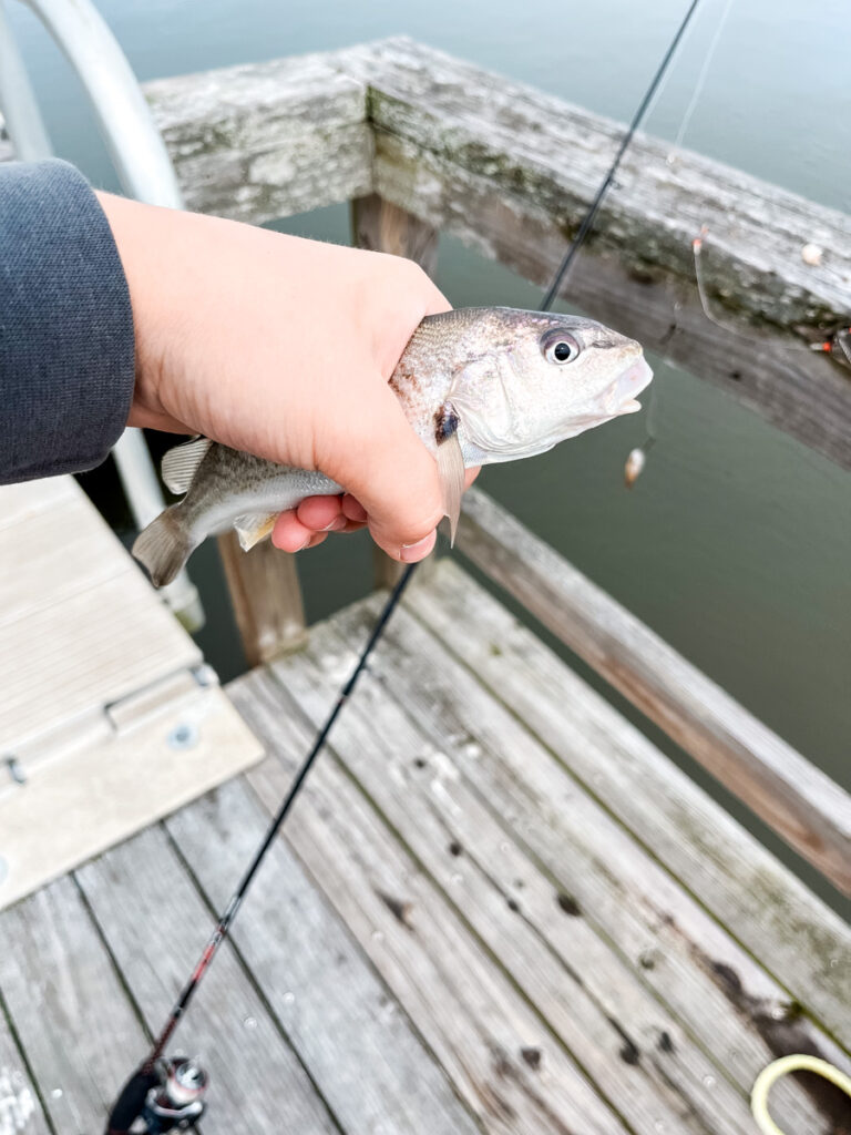 Fishing spring trip