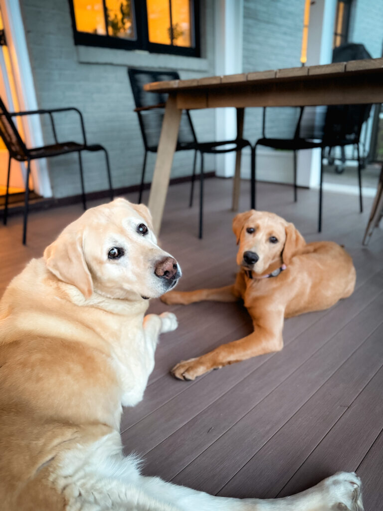 Gus and Roan