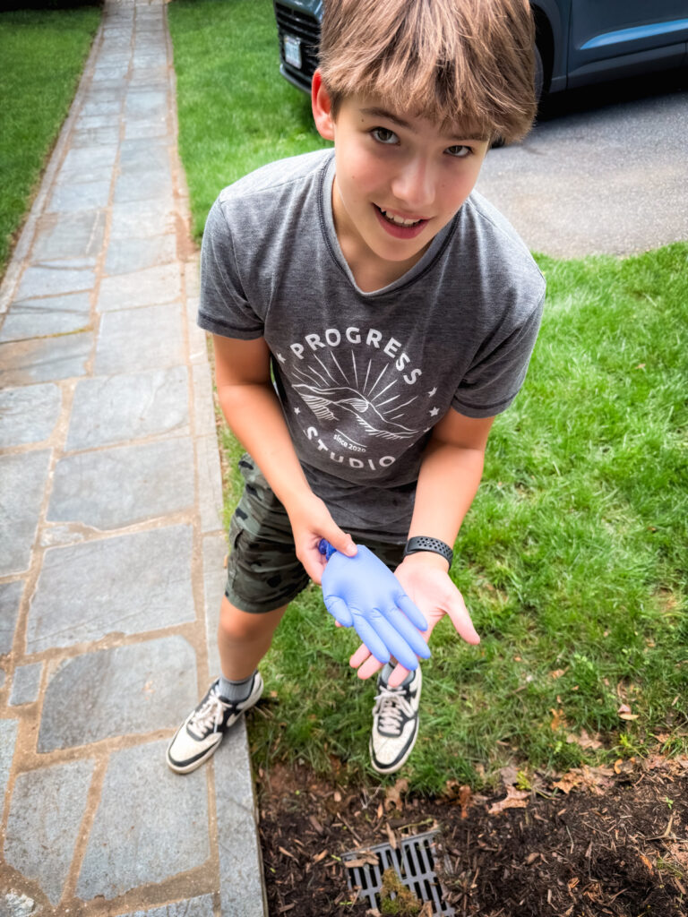 Science Experiments Lately Bon Voyage