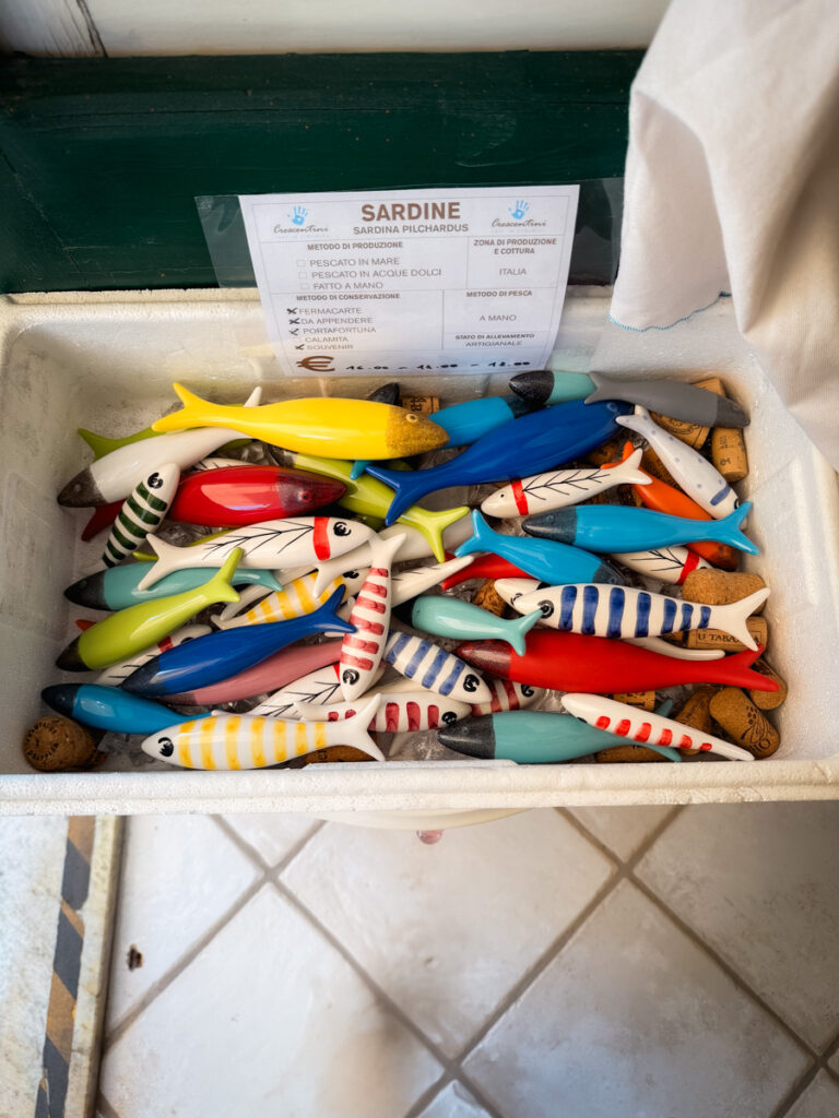 sardine souvenirs
