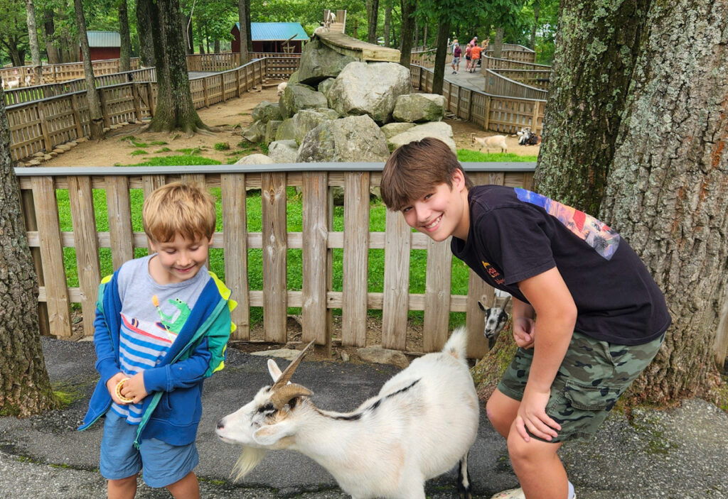 Tweetsie Railroad petting zoo | Grammie + Pea Camp 2025