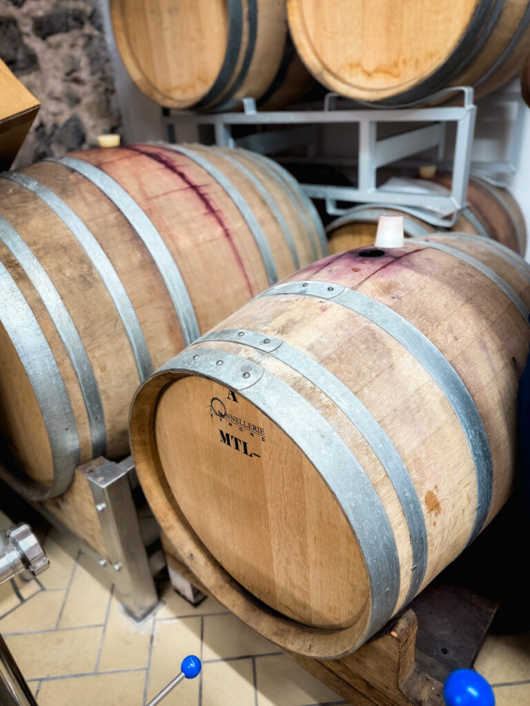 cellar tour