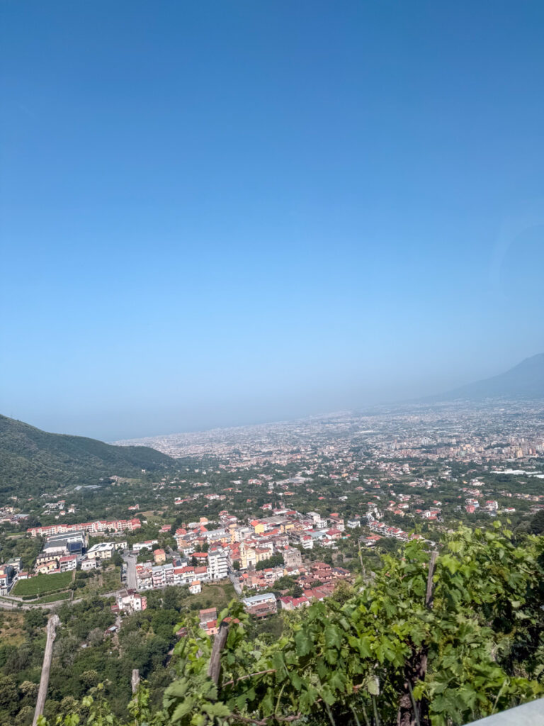 The view of Naples