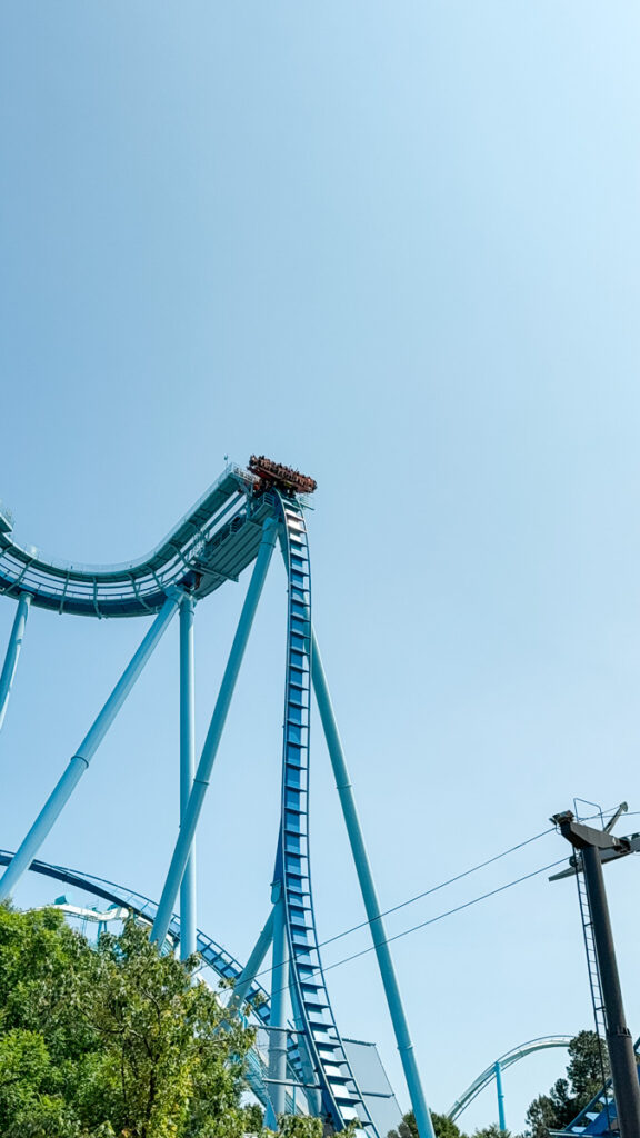 Griffon ride Bon Voyage