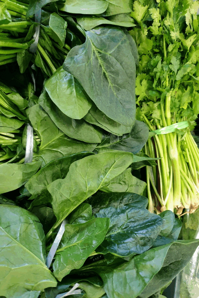 Leafy Green Recipes