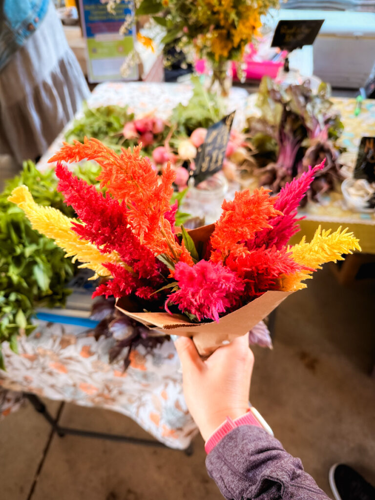 farmer's market | Artsy In Hillsborough