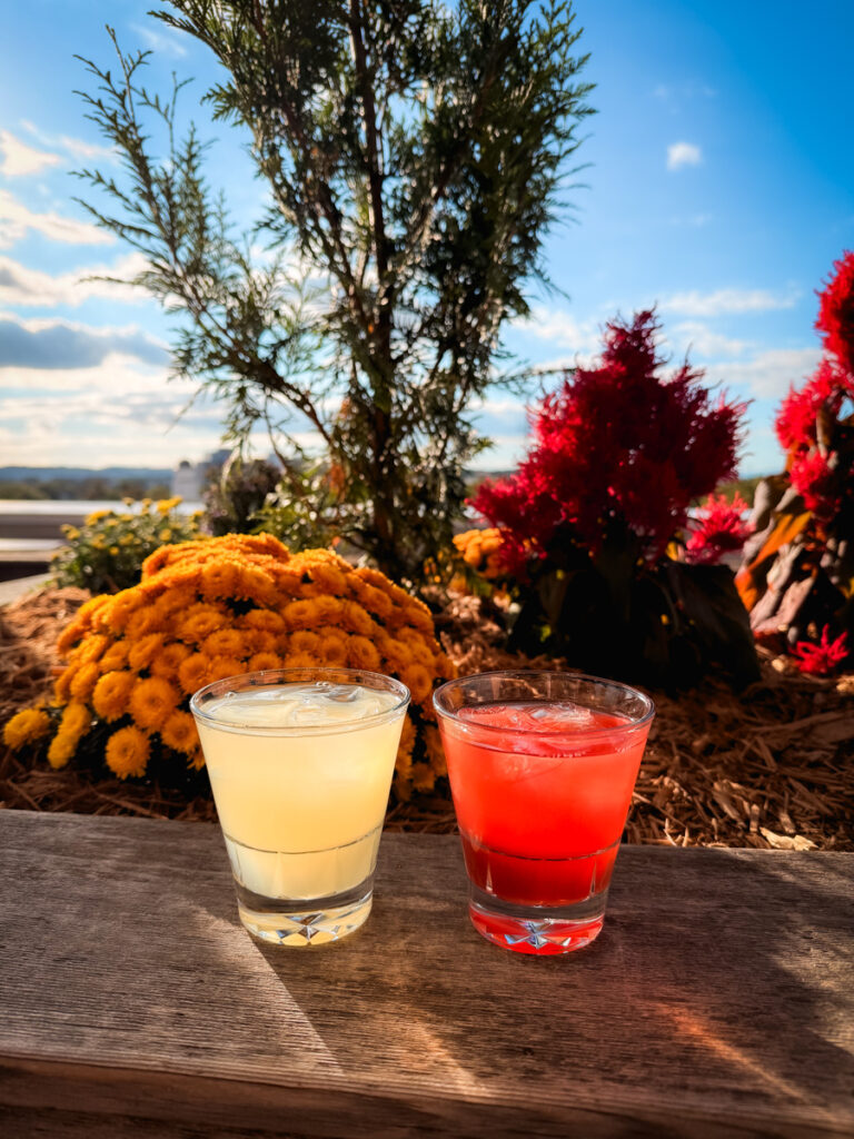 cocktails on the roof | Octo Means Eight