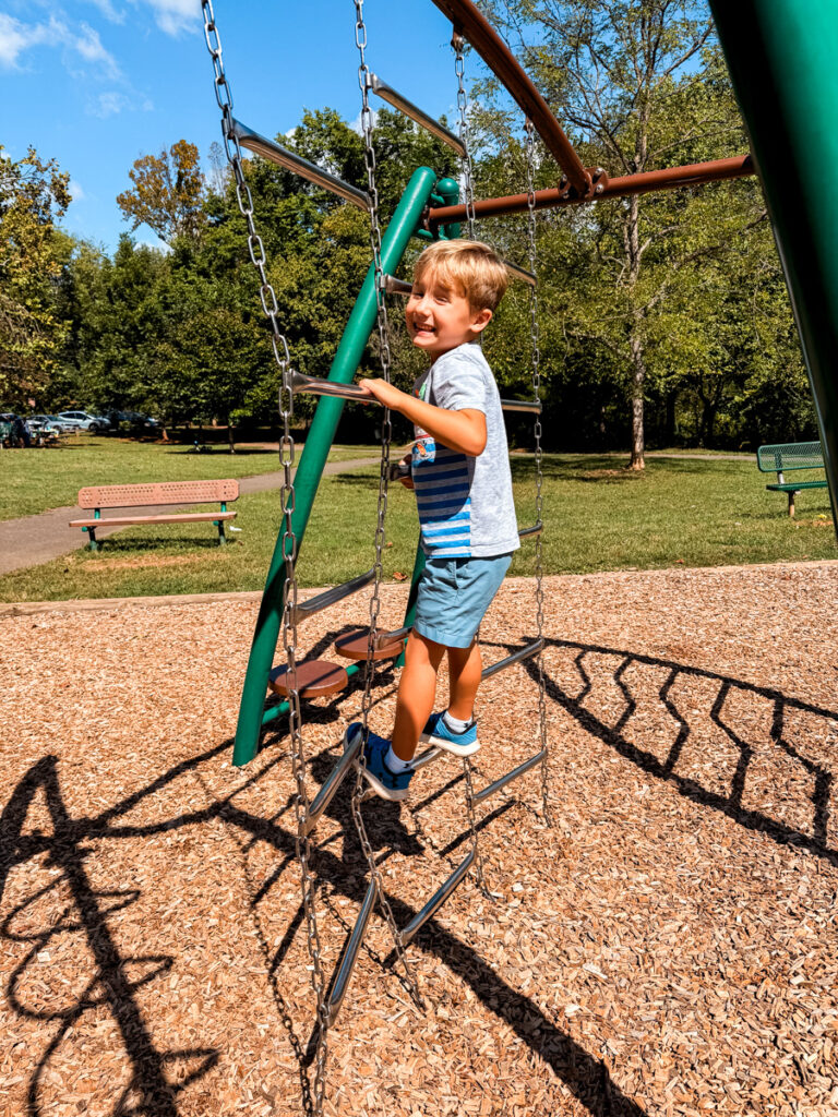 Birch playground