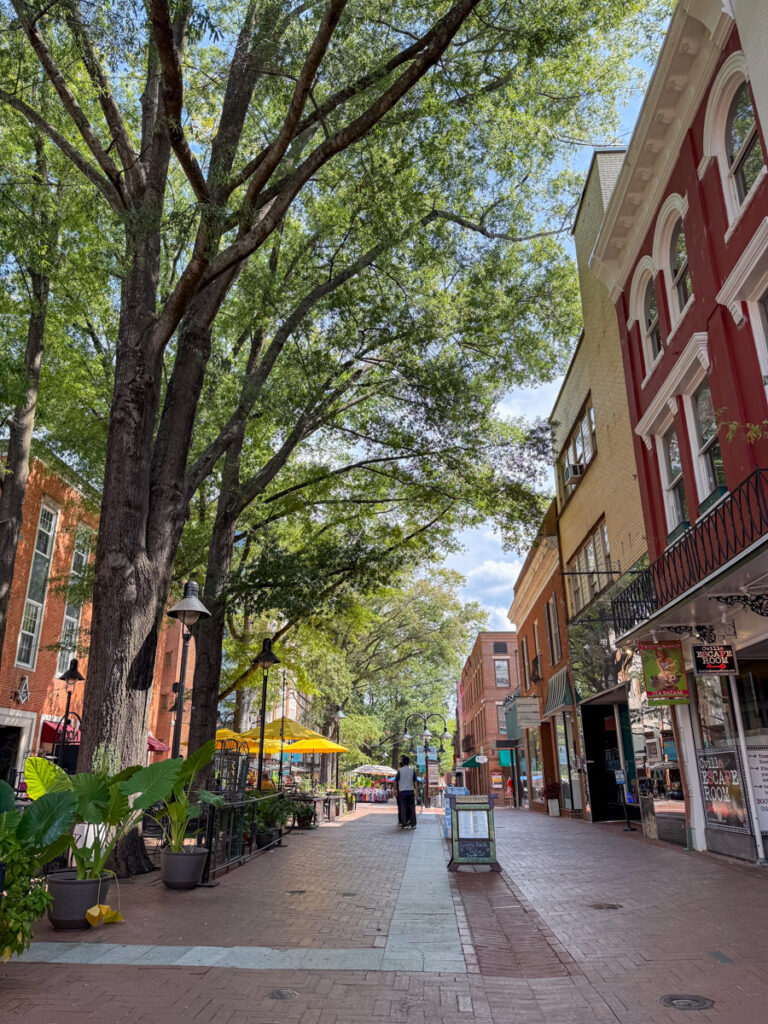 Downtown Charlottesville Guide