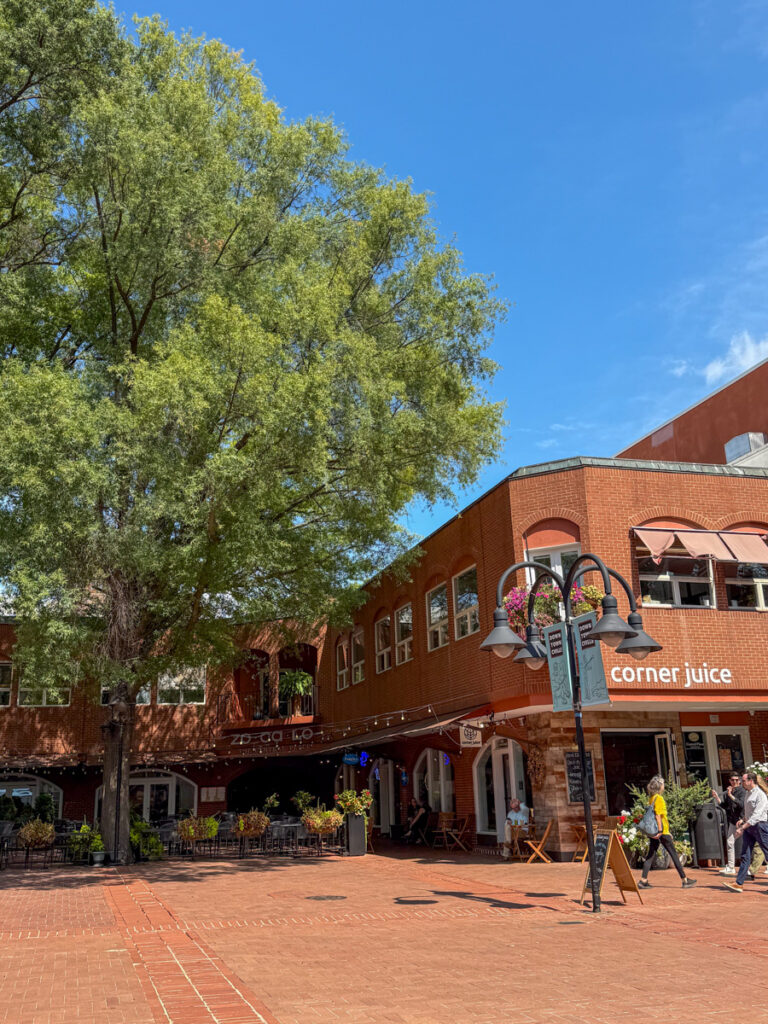 What To Do In Downtown Charlottesville