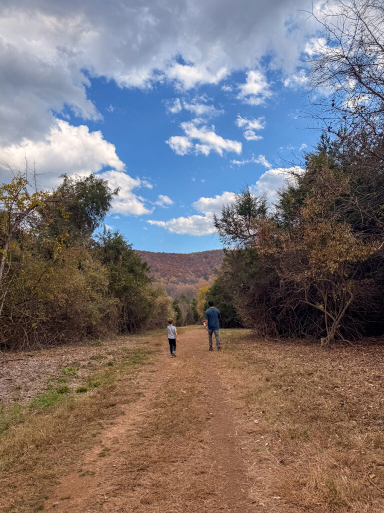 Biscuit Run Hike | Make Like A Tree And Leave